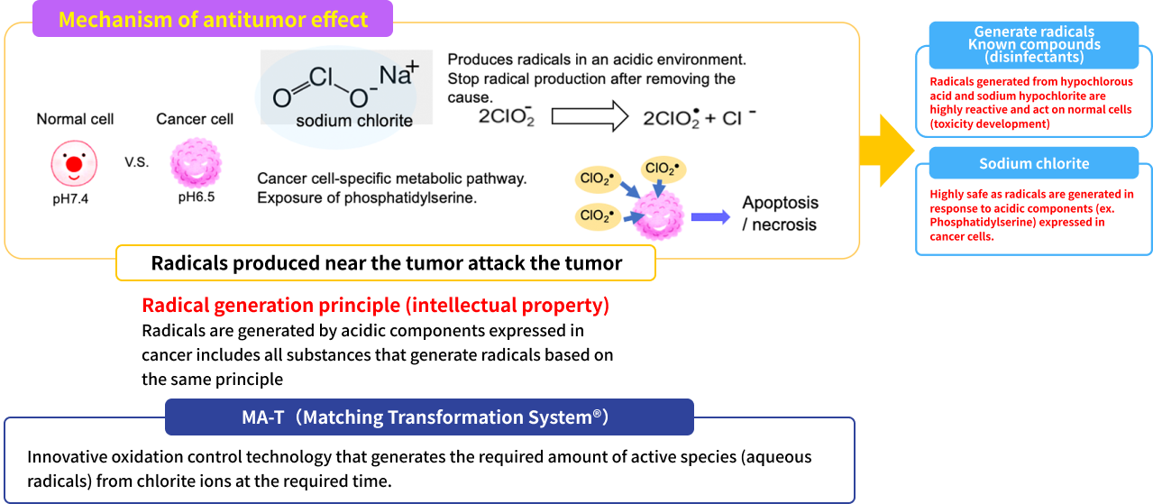 Mechanism of antitumor effect